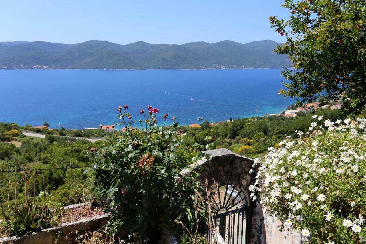 Holiday House With A Parking Space Viganj - Podac, Peljesac - 10141 외부 사진